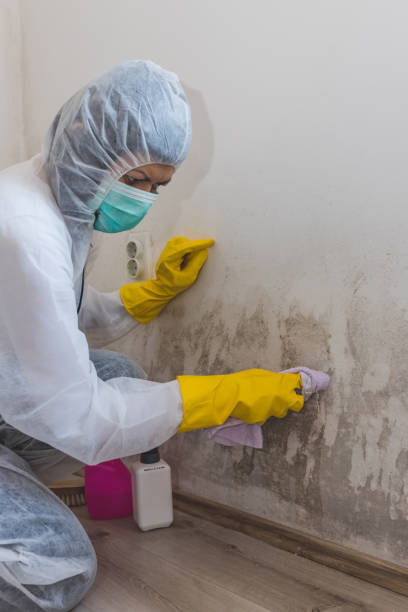 Best HVAC Mold Inspection and Cleaning  in Beulah, ND