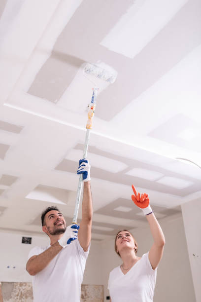 Best Mold Damage Restoration  in Beulah, ND
